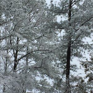 Meet your Posher, Robin